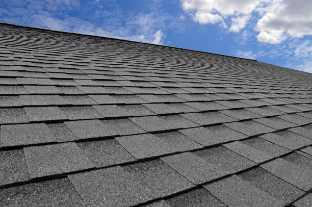 Best Roof Ventilation Installation  in North Augusta, SC
